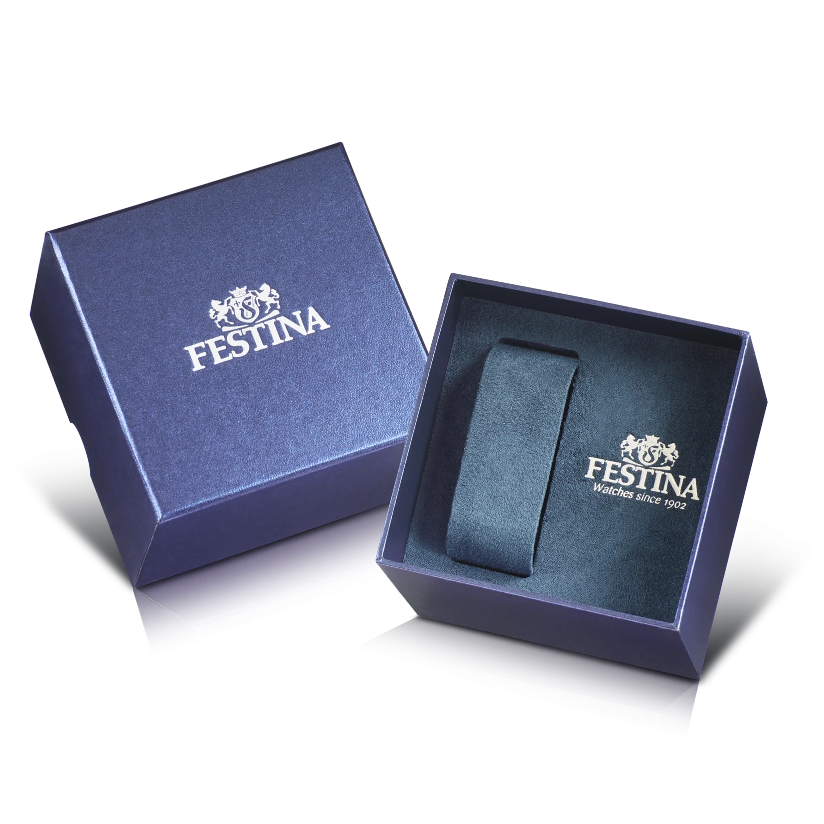 Festina.webp Festina.webp